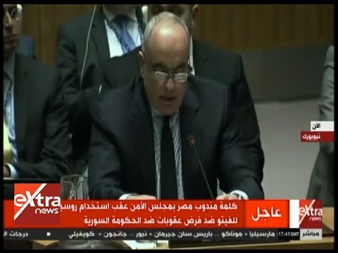 فيديو.. مندوب مصر بمجلس الأمن: نريد دليلا على تورط بشار الأسد في جرائم حرب!