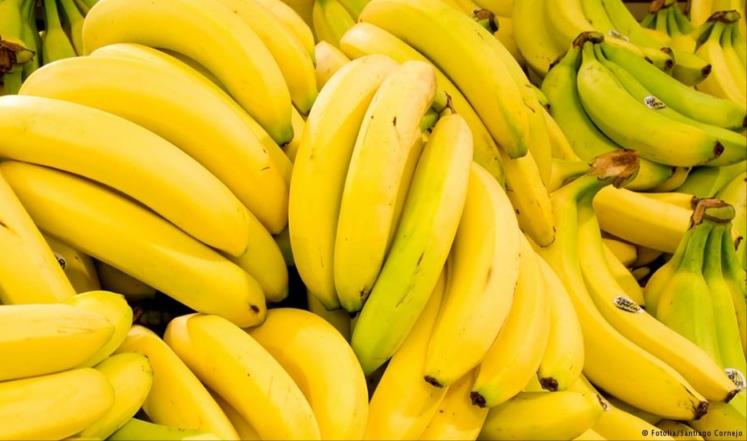 الموز.. تسمية عربية وفوائد صحية