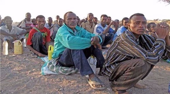 الأمم المتحدة قلقة من تدفق المهاجرين إلى اليمن رغم الصراع