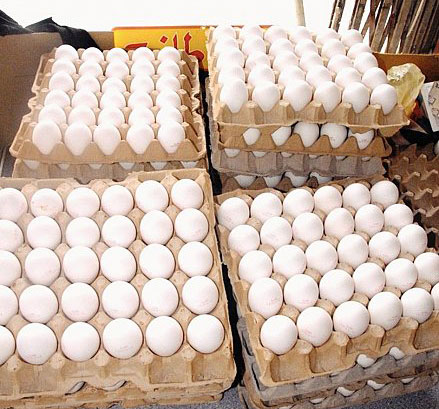 تراجع سعر الطبق البيض في السوق اليمنية إلى 600 ريال