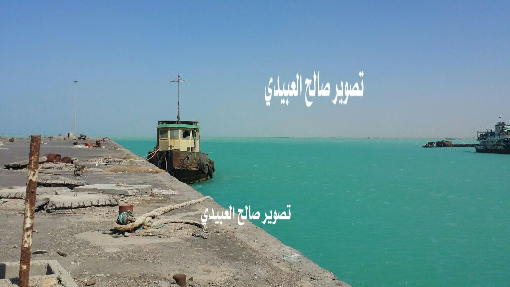 قوات الجيش والمقاومة تسيطر على ميناء المخا (صور)