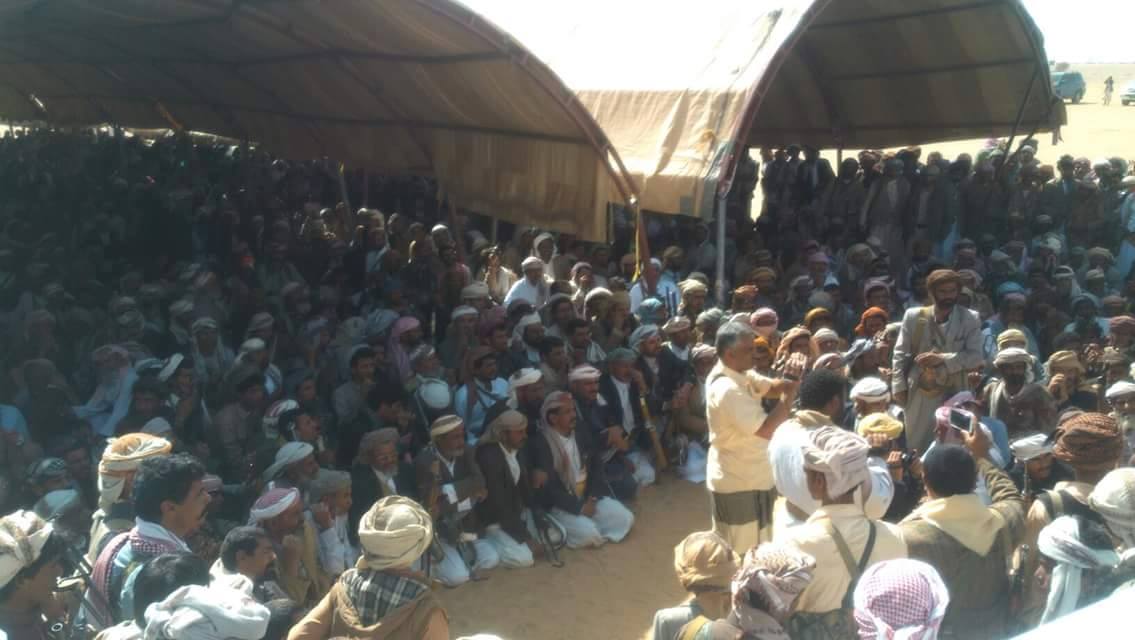 نتائج اجتماع قبائل الجوف وخطتهم لمواجهة «الميليشيات الحوثية»