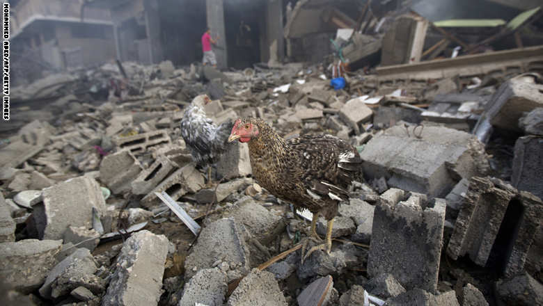 الجرف الصامد والعصف المأكول.. صور من غزة وإسرائيل