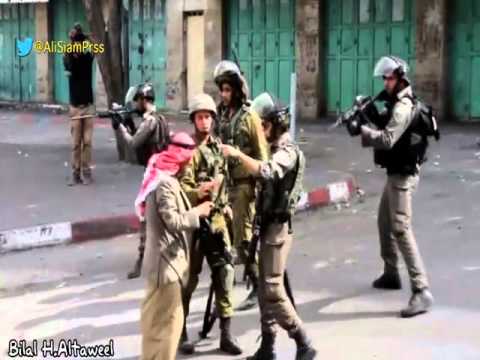 فيديو مؤثر لمسن فلسطيني يتحدى جنود الاحتلال بشجاعة لا تتخيلها الأفلام السينمائية