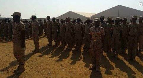 تخرّج قوات عسكرية جديدة للمشاركة في تحرير محافظة صعدة من الانقلابيين