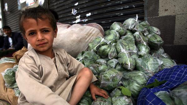 القات في اليمن : عشبة النشوة والخراب الاقتصادي