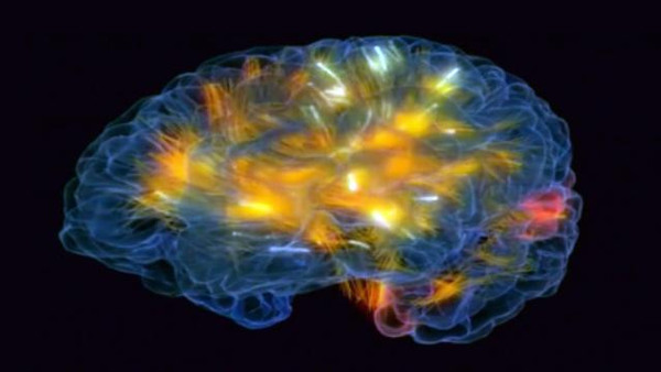 فيديو يظهر تقنية عمل الدماغ ودوران الأفكار بداخله