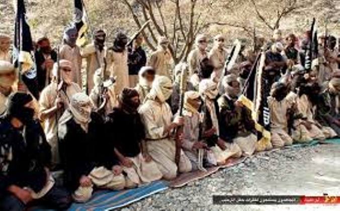 أمريكا تتحدث عن تدريبات يتلقاها أوروبيون على يد تنظيم القاعدة في اليمن