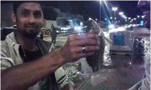 أسماك في شوارع السعودية بعد الأمطار - أرشيف