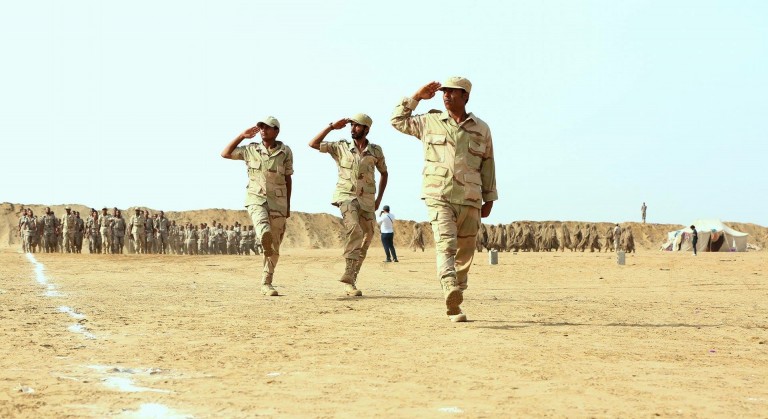 مناورة عسكرية استعراضية للمنطقة العسكرية الخامسة في «ميدي» 