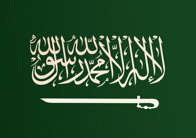 السعودية تقوم بصرف «مرتبات مغرية» لمشائخ القبائل
