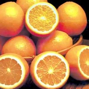 تناول البرتقال يومياً يقي من الاصابة بكثير من الامراض