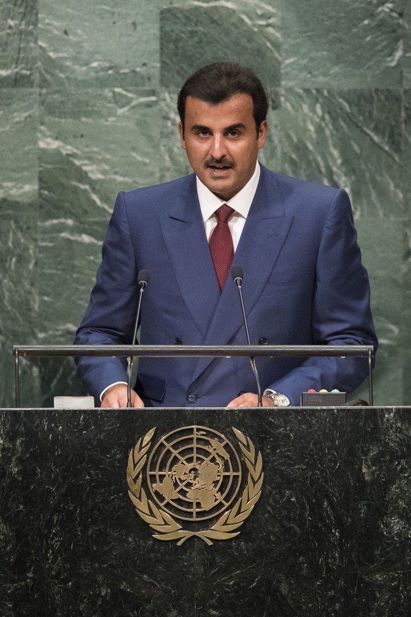 أمير قطر يطلق تصريحات هامة بخصوص الأزمة في اليمن ويعلن موقف بلاده من دعم الشرعية
