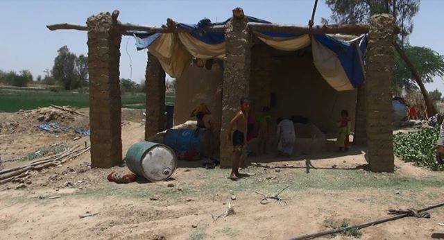 الأمم المتحدة: 650 أسرة نازحة في الجوف يعيشون أوضاعاً إنسانية سيئة