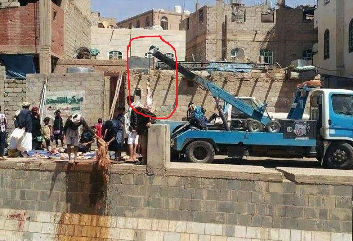 «ونش» شرطة المرور في صنعاء يستخدم لمساعدة جزار في ذبح ثور (صورة)