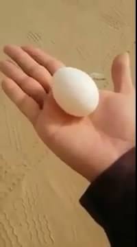 شاهد بالفيديو .. طريقة غريبة لاستكشاف الماء بباطن الأرض باستخدام بيض الدجاج
