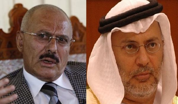 مسؤول الشؤون الخارجية الأماراتية يلمح للتعامل مع «صالح» وسط معلومات عن تنسيق مشترك ضد الحوثيين
