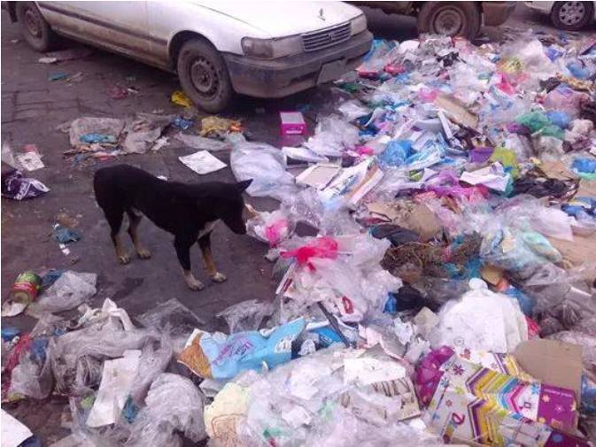 «تعز ».. المدينة الحالمة تعج بأكوام القمامة ( صور )