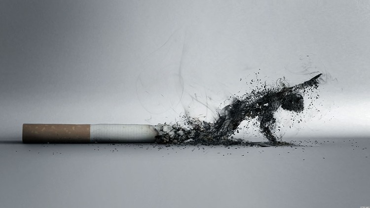 أول دولة في العالم تمنع السجائر نهائيا .. تعرف عليها