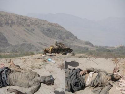 نشر صور لانتصارات الجيش اليمني في أبين وقتلى القاعدة