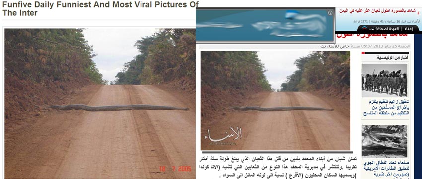 تزوير صورة «أضخم ثعبان في اليمن» ظهر في المحفد بأبين