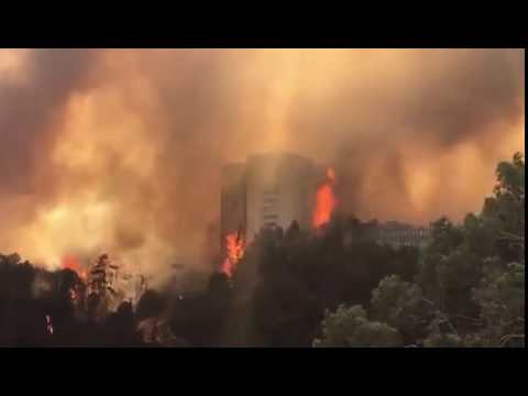 نيران تلتهم المباني العملاقة في مدينة حيفا! (فيديو)