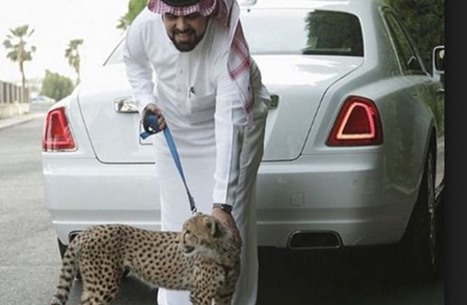 هذه صور البذخ لبعض أبناء السعوديين الأثرياء على إنستغرام