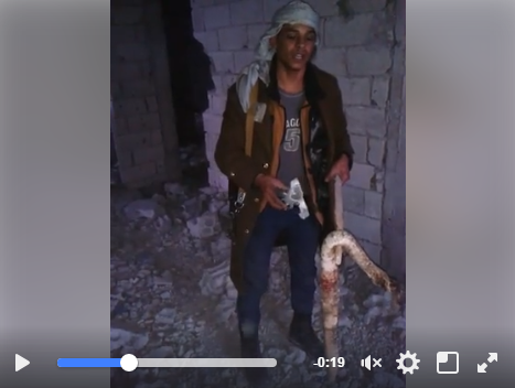 شاهد بالفيديو .. نجاة أفراد المقاومة من قذيفة حوثية بعد سقوطها فوق رأس أفعى بجوارهم