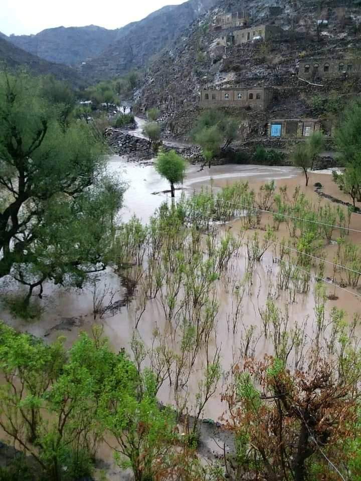 فيضانات الأمطار تتسبب بخسائر كارثية في اليمن