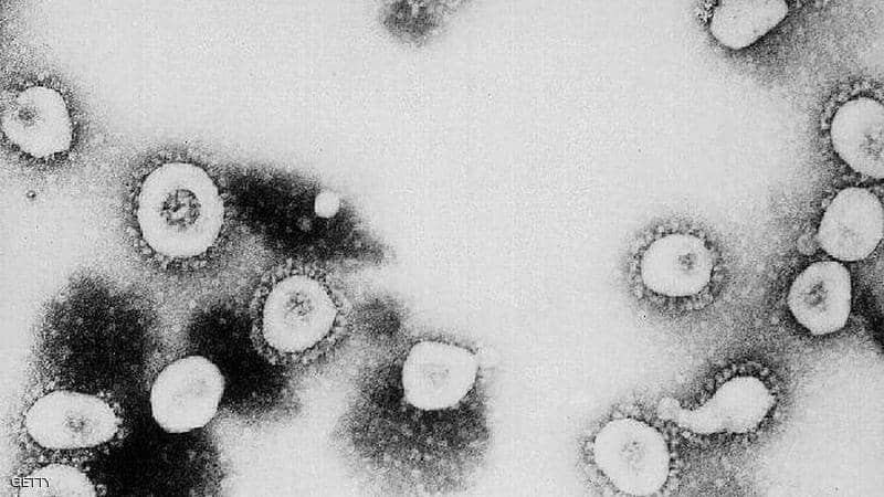دراسة مفاجئة تؤكد العثور على فيروس كورونا في 