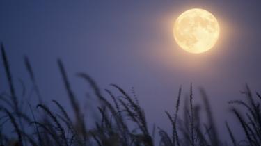 هل اكتمال القمر يؤثر بالفعل على أجسام البشر وقدرتهم على النوم؟! 