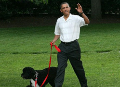 أوباما يؤكد أنه يلتقط غائط كلبه بنفسه