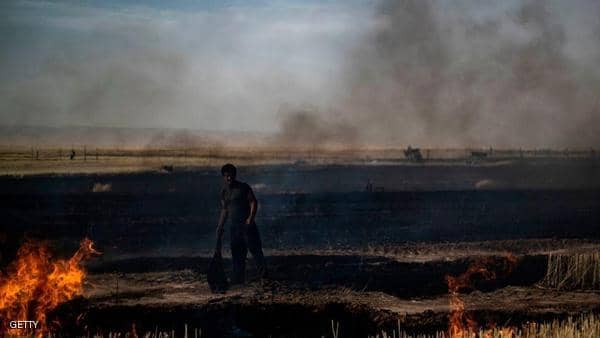 سوريا- إحراق هكتارات من حقول القمح بأمرٍ من ترامب
