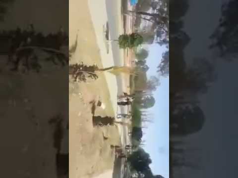 شاهد بالفيديو .. مشرف حوثي يعتدي على أمراءة ويسلبها حقيبتها بحديقة الثورة بصنعاء