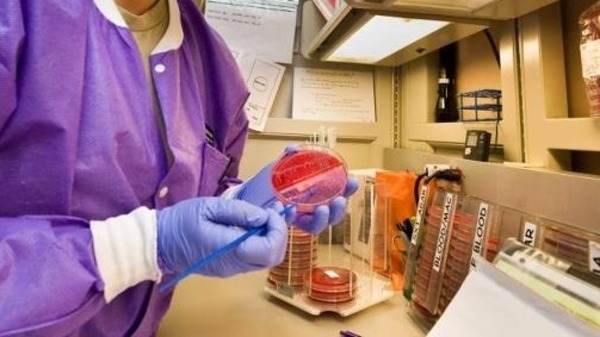 السعودية: بدء انحسار الإصابة بفيروس كورونا 