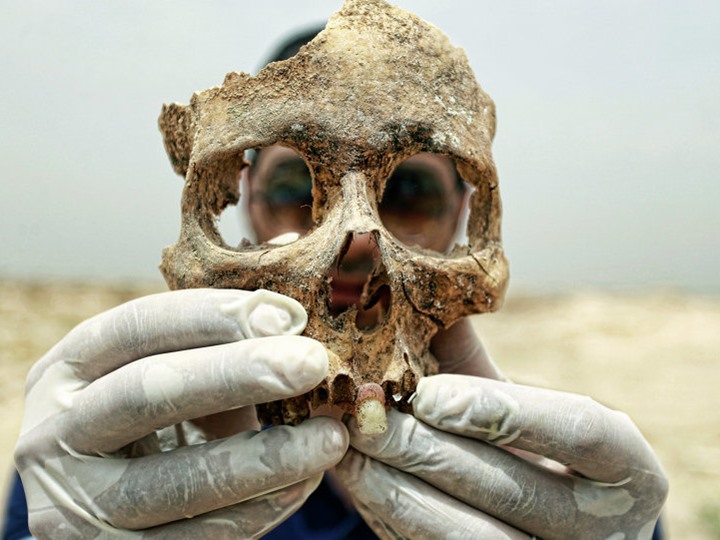 العثور على جمجمة لكائن بشري عملاق بـ مكة المكرمة عاش قبل 30 مليون سنة (فيديو)