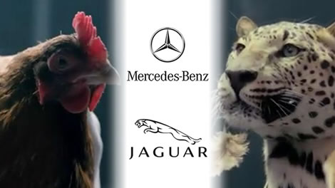 مرسيدس ترد على سخرية جاكوار وقططها بإعلان جديد