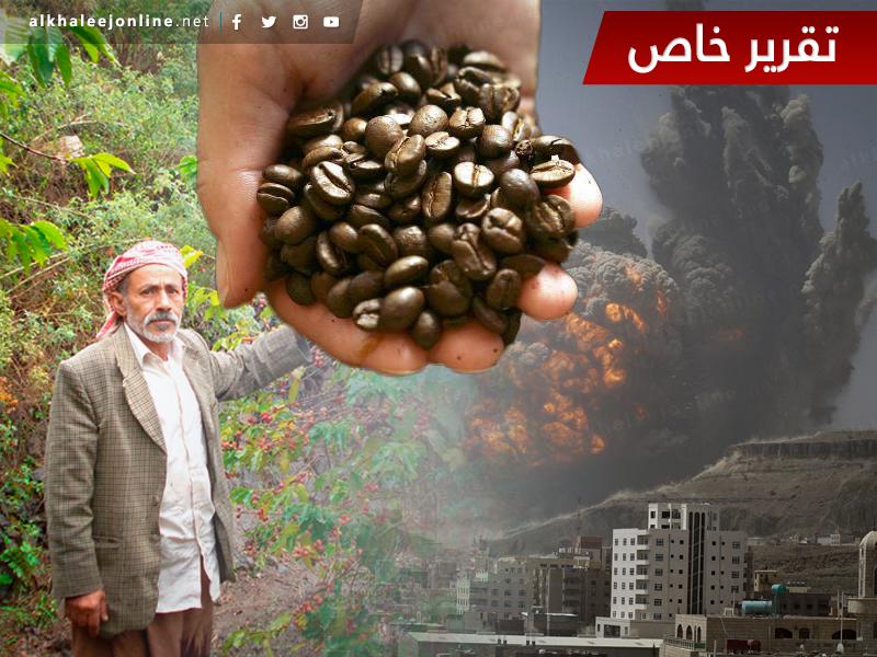 البن اليمني.. صدارة عالمية أضاعتها الصراعات والحروب