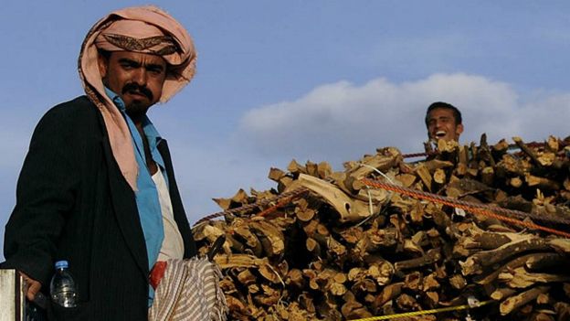 بي بي سي: اليمن: عودة الحمير إلى الشوارع والحطب مصدر للطاقة (صور)