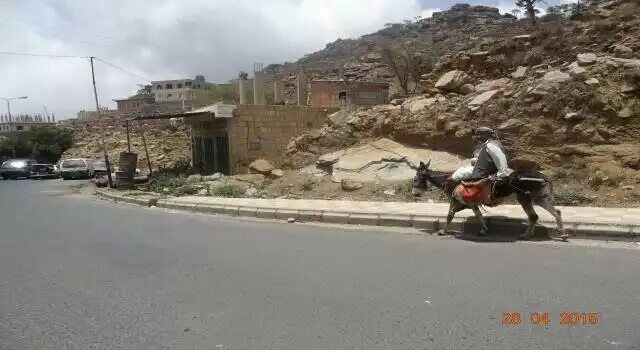 الحمير بدل السيارات في اليمن