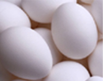 تناول البيض في الإفطار ينقص الوزن