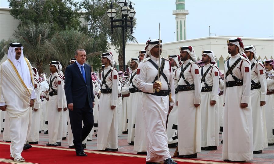 أمير قطر وأردوغان يبحثان الأوضاع في سوريا واليمن وفلسطين