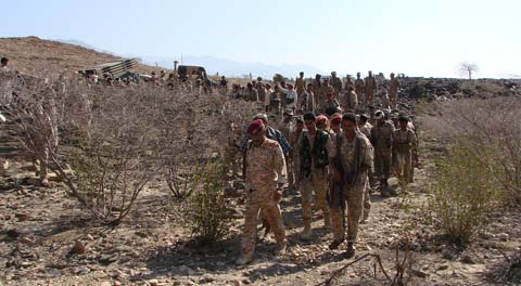 قيادات للجيش في جبهات القتال ضد القاعدة في شبوة