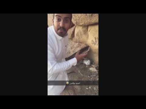 شاهد بالفيديو .. ماذا فعل شاب سعودي لاصطياد «بوكيمون» من منزل جاره