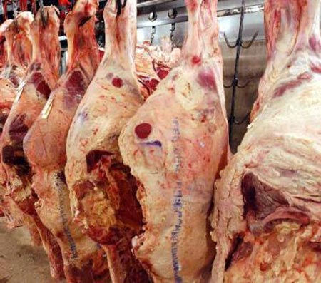 المؤسسة الاقتصادية اليمنية تبيع اللحوم للمواطنين بأسعار مخفضة خلال العيد