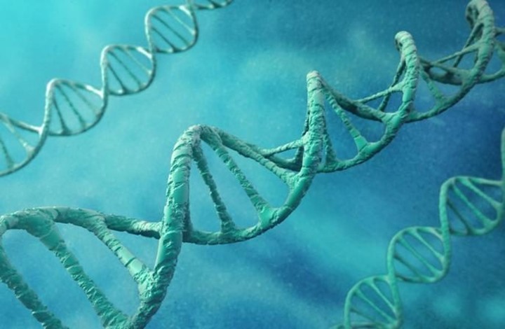 نجاح مثير جديد في تعديل الحمض النووي لتجنب أمراض قاتلة