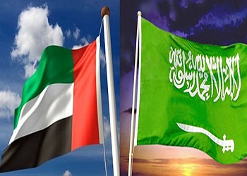 إستحواذ إماراتي سعودي على «87%» من الإستثمارات الأجنبية في دول الخليج