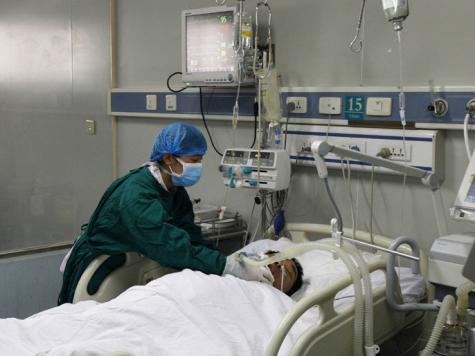  37 إصابة بفيروس إنفلونزا الطيور شرق الصين 