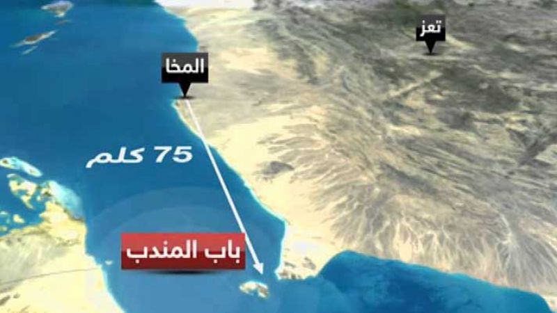 القوات العربية المشتركة تحبط هجوم للحوثيين على ميناء المخا (فيديو)