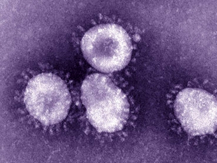 نماذج من فيروس كورونا 